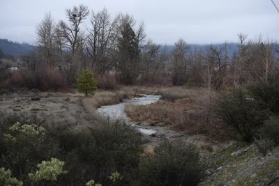 DSC_6786 (Large).JPG